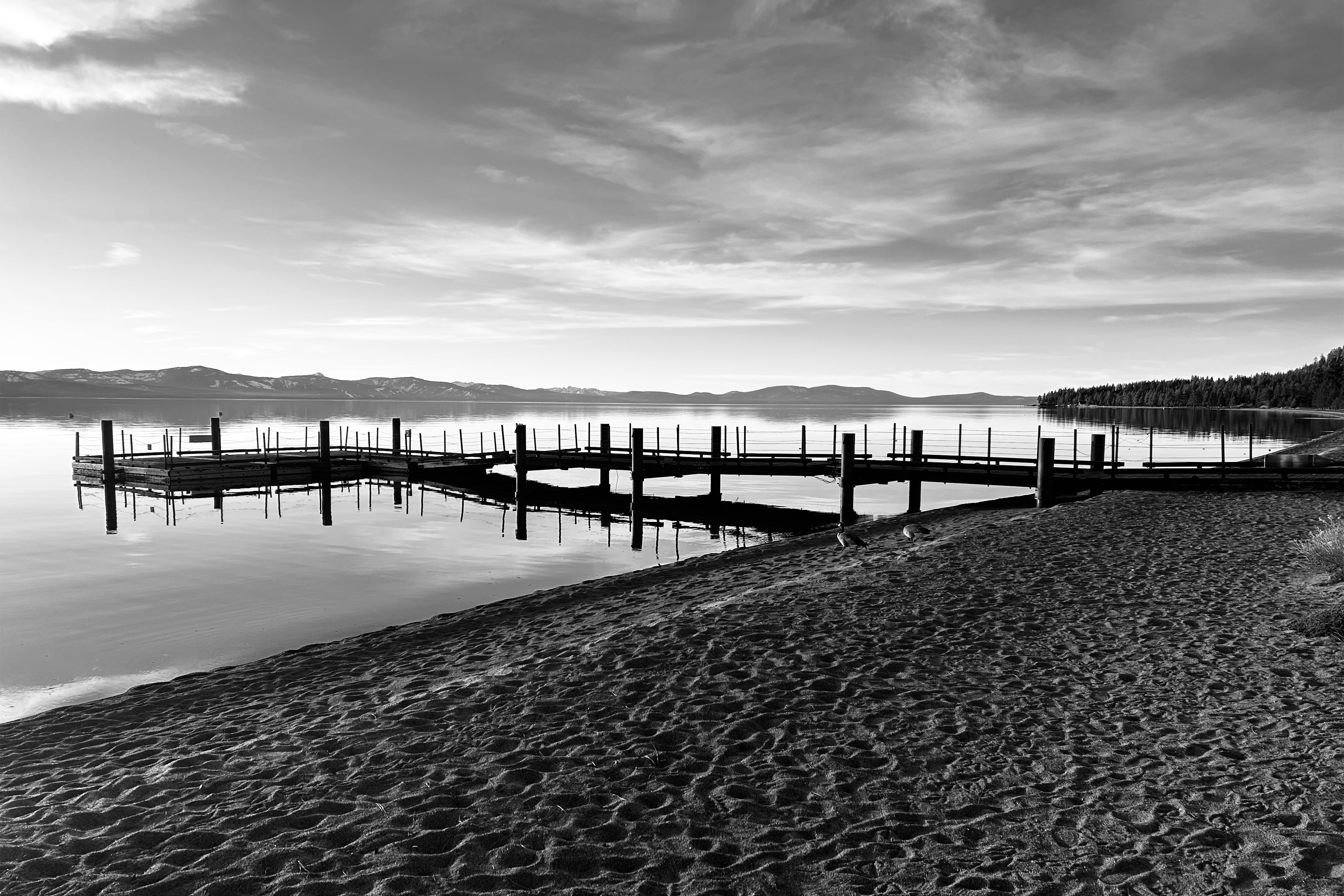 Black and white lakeside landscape
